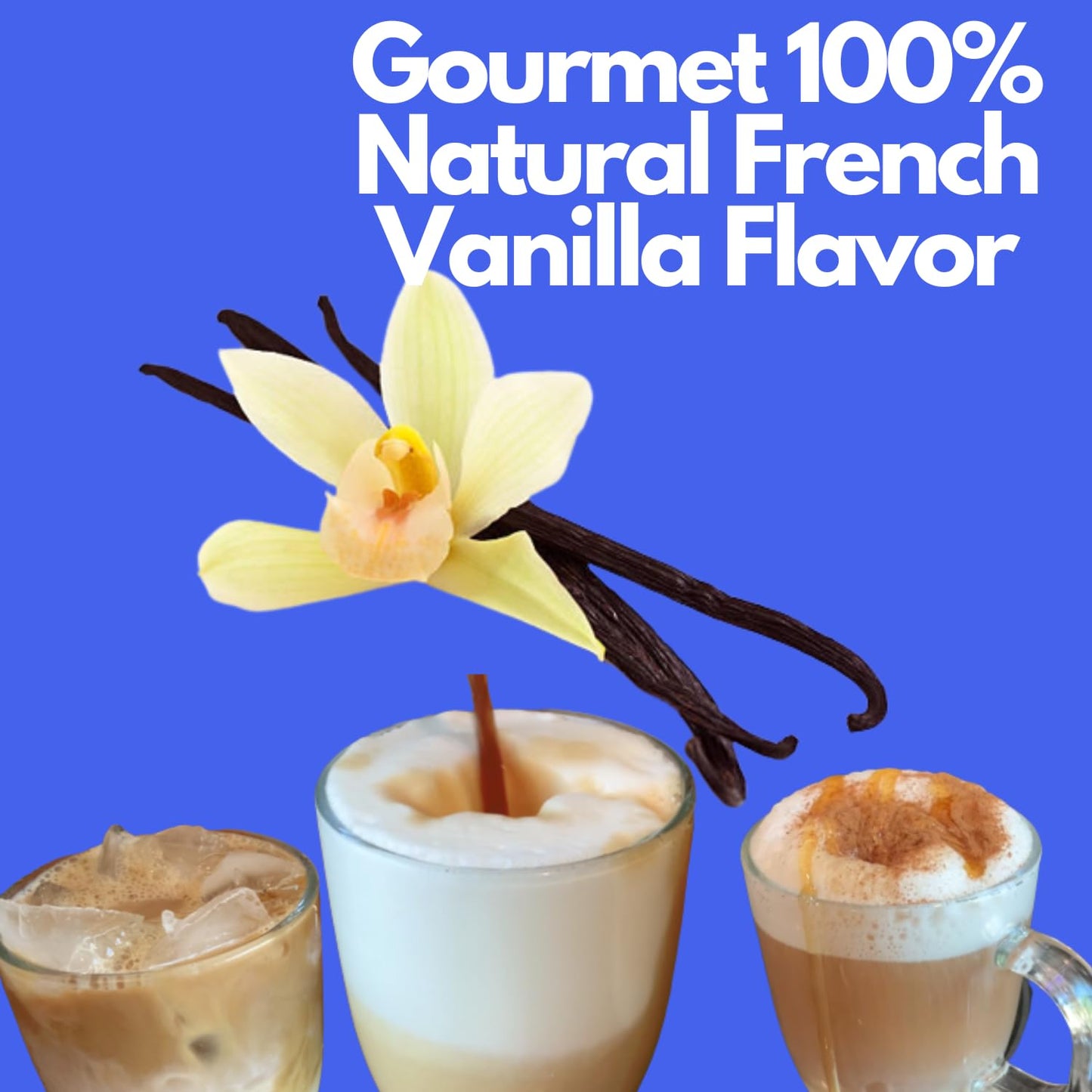 Sarasota Coffee Ground French Vanilla | Medium Roast Gourmet Flavored Coffee Grounds | Low Acid, Mold Free, Specialty Grade Flavored Bulk Ground | 5lb (80 oz)