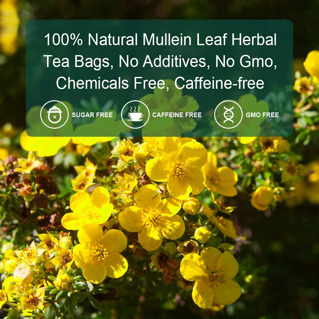Mullein Leaf Tea Bags - Lungs Cleanse and Respiratory Support, Herbal Teas, Caffeine Free, 30 Tea Bags