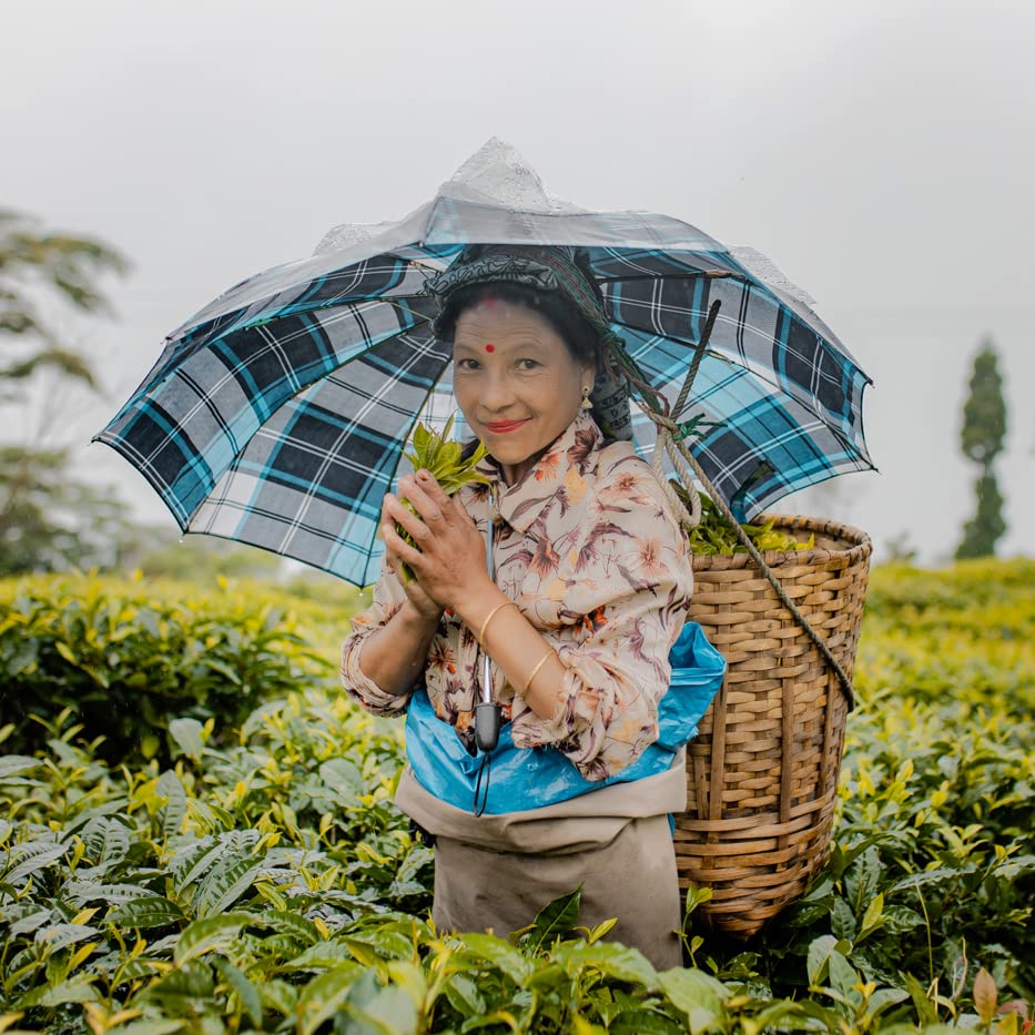 Grace Farms Organic Darjeeling Sunrise Black Tea, 50 Sachet Pouch | Darjeeling & Orange | Fairtrade & Kosher |Gives Back 100% of Profits