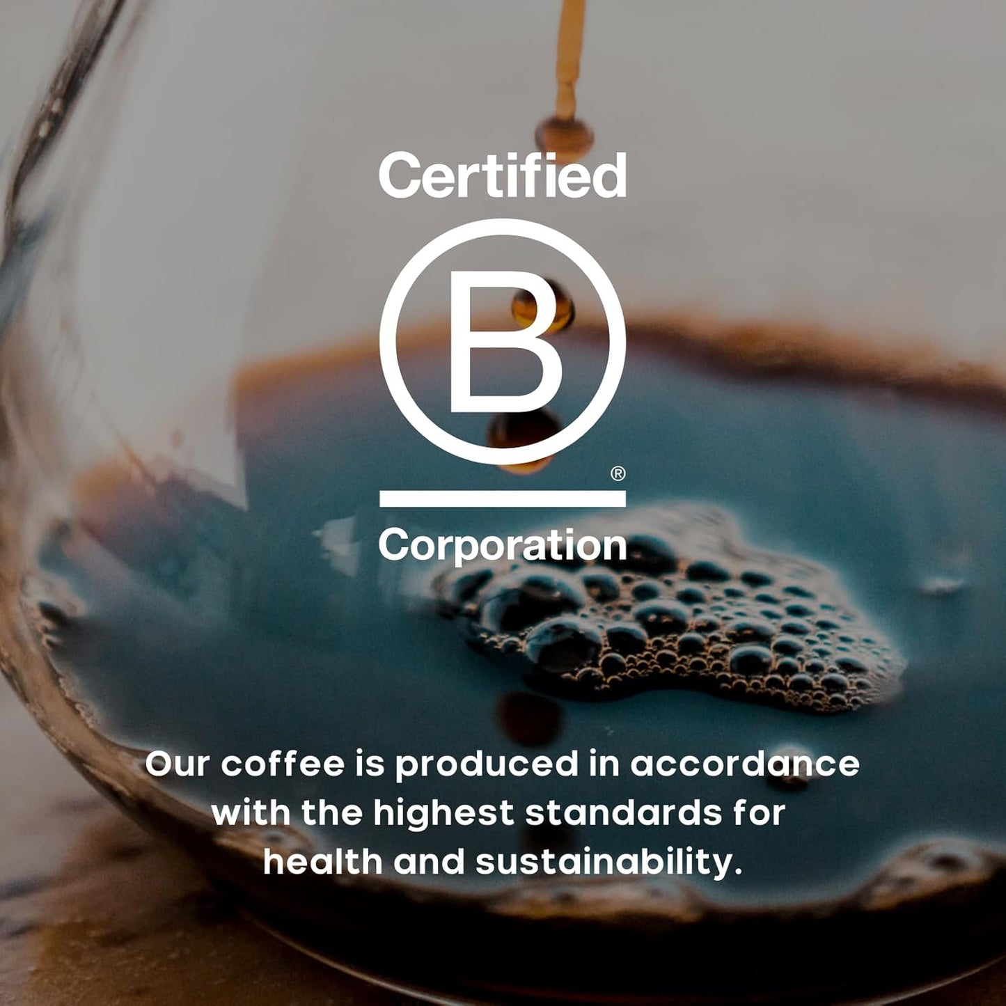 Purity Coffee PROTECT Light-Medium Roast Ground Coffee for Liver Vitality - USDA Organic and Third-Party Tested for Antioxidants, Mold, Mycotoxins and Pesticides - 12oz (Purity Protect, light_roast) | Ground| PROTECT