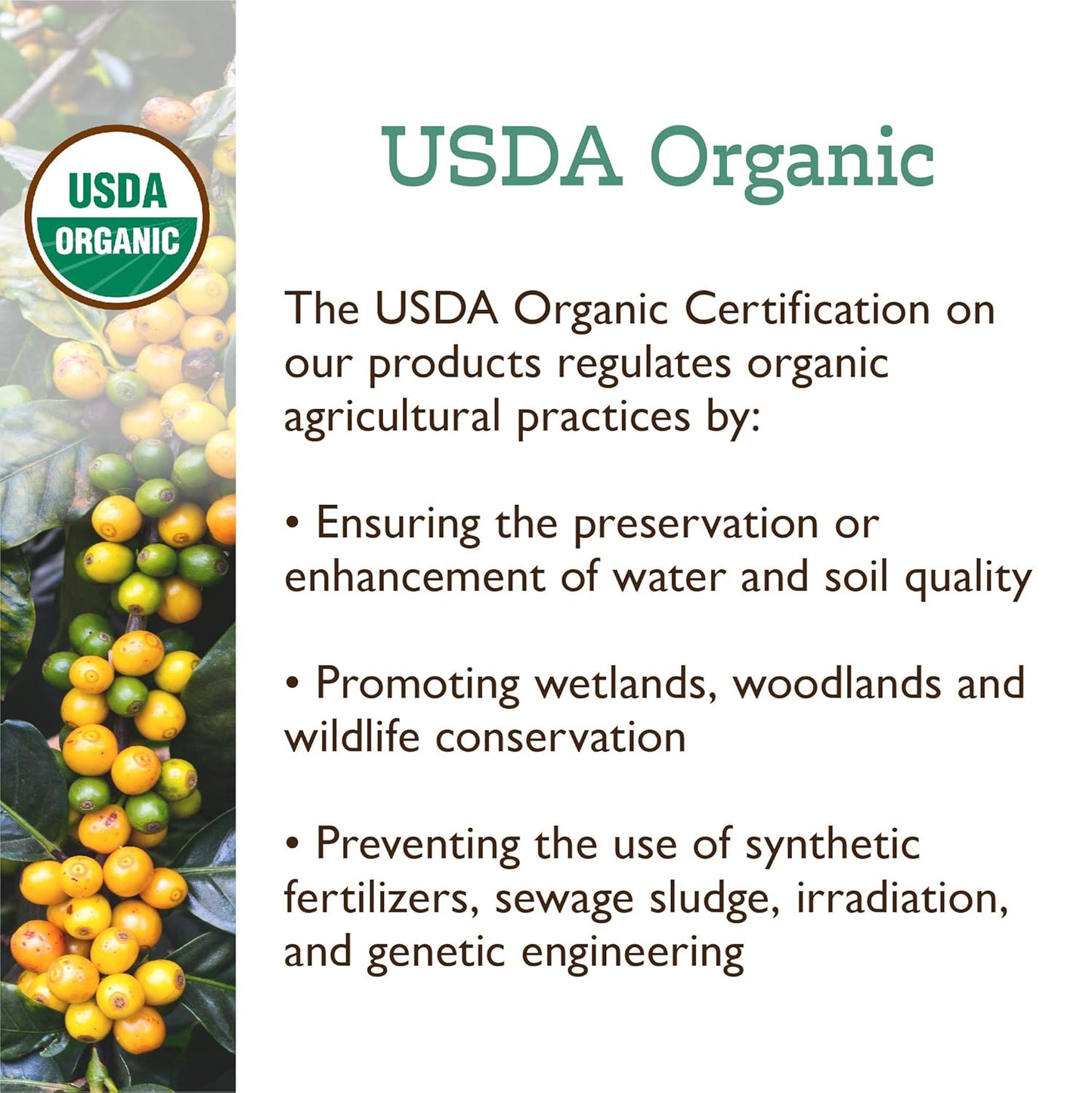 Fresh Roasted Coffee, Organic Honduran Marcala | USDA Organic, 100% Single Origin, Kosher | Medium Roast 72 Pods for K Cup Brewers