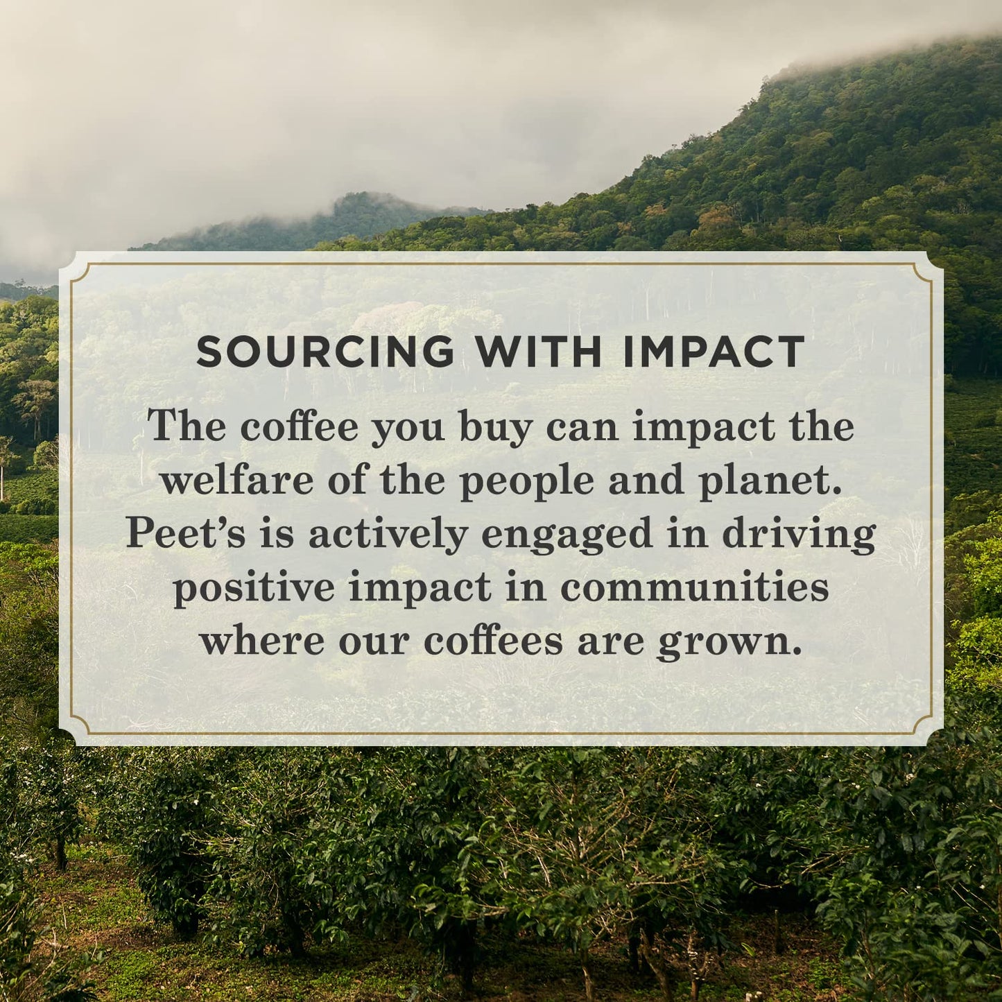 Peet's Coffee, Dark Roast K-Cup Pods for Keurig Brewers - French Roast 96 Count (4 Boxes of 24 K-Cup Pods)