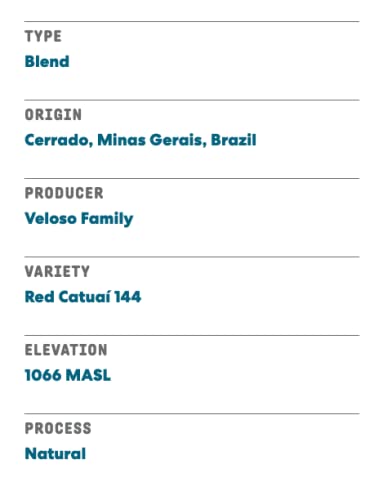 Joe Coffee Company, Big City French Roast, Dark Roast Whole Bean, 12 oz Bag, Small-Batch Specialty NYC Roaster