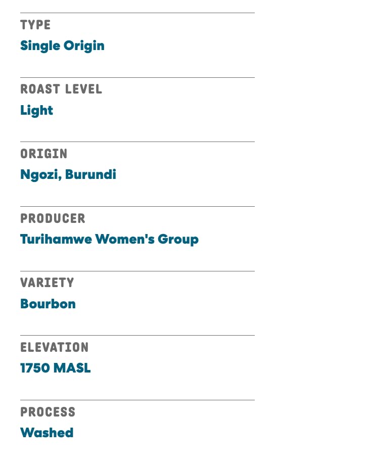 Joe Coffee Company - The Village Whole Bean Specialty Coffee, 6 oz Bag | Women-Produced, NYC Roaster, Rainforest Alliance Certified, Kosher, Climate-Friendly