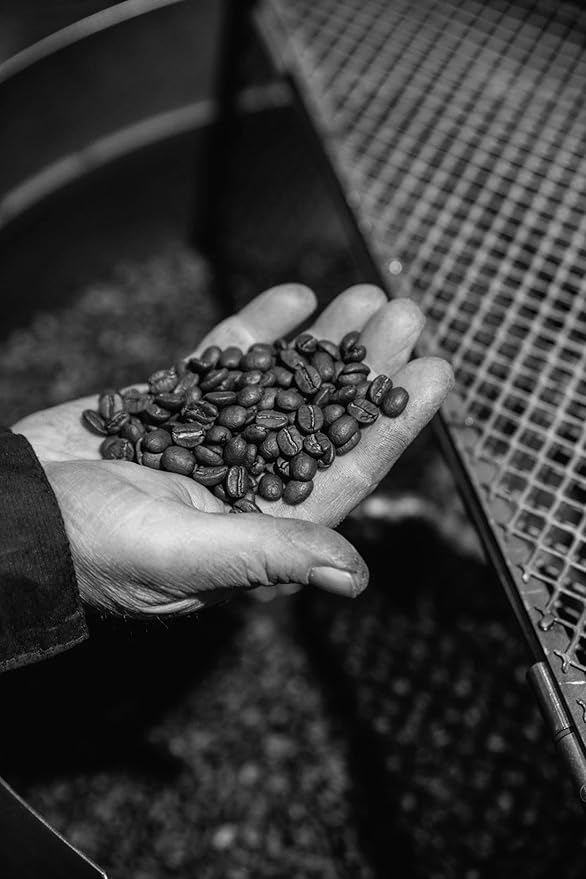 Bristot Cremoso Espresso Capsules – Intense, Creamy, Full-Bodied – Compatible with Lavazza Blue Machines – 50 Count*