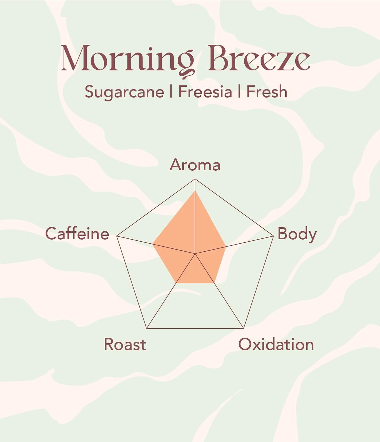 OOTINE | Morning Breeze Taiwan Oolong Tea (12 Sachets) | Lightly Oxidized for a Fresh, Green-Tea-Like Taste | Sugarcane & Freesia Notes | Hand-Picked Whole Leaves, Plastic-Free Sachets | Supports Gut Health & Multiple Infusions, Travel-Ready