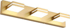 SineRise LED Modern Bathroom Vanity Light Fixtures, Matte Gold Modern Acrylic by SINERISELIGHTING