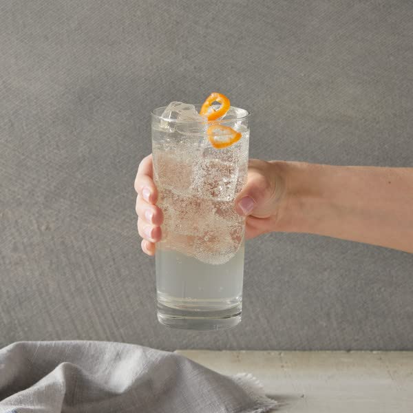 DaVinci Gourmet Classic Habanero Syrup, 25.4 Fluid Ounces (Pack of 4)