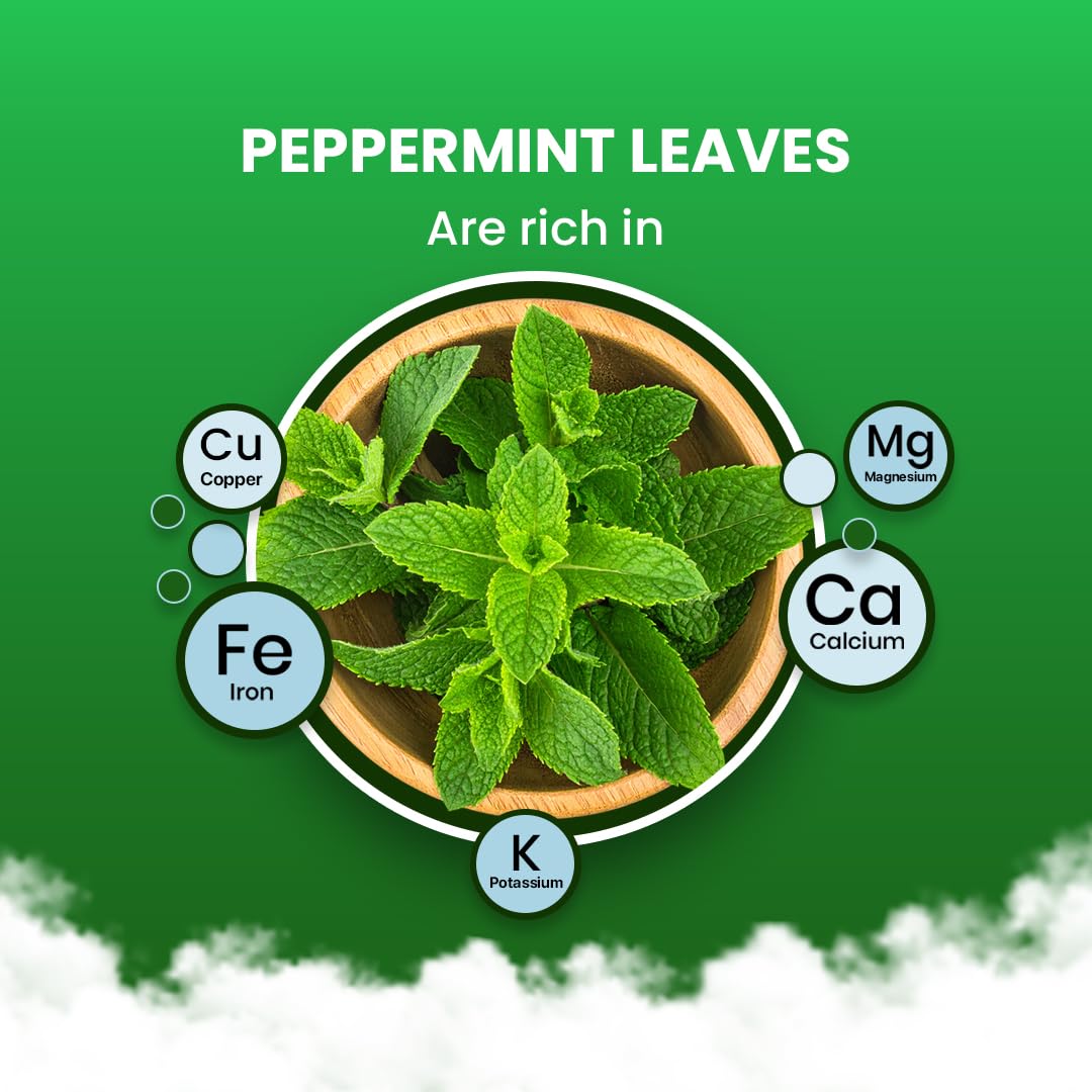 BLUE TEA - Peppermint Tea - 10 Count - Plant Based Tea Bag | SUPPORTS DIGESTION | Antioxidant Rich | Fresh & Cool Minty Flavour | Caffeine Free - Herbal Tea - Non-Bitter - Leaf Based | Ziplock Pack