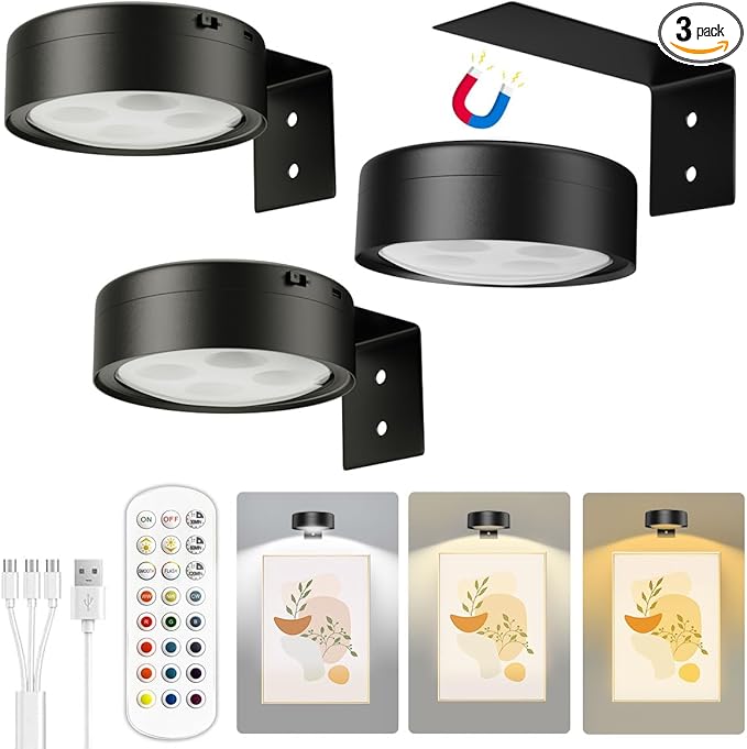Xuolder Picture Lights for Wall, 2000mAh Rechargeable Battery Poster Lights LED by Xuolder