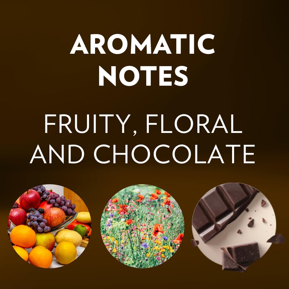 Lavazza Expert Gran Aroma Coffee Capsules, Light Roast, 100% Arabica, Compatible with Lavazza Classy Plus Machine (36 Capsules)