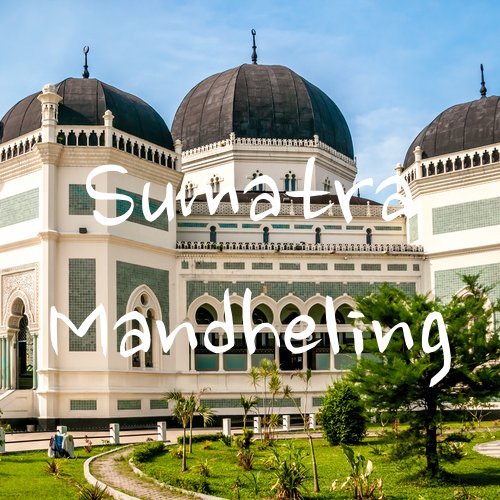 Sumatran Coffee, Mandheling, Ground, USDA Organic, Fair Trade, Fresh Roasted, 16-ounce