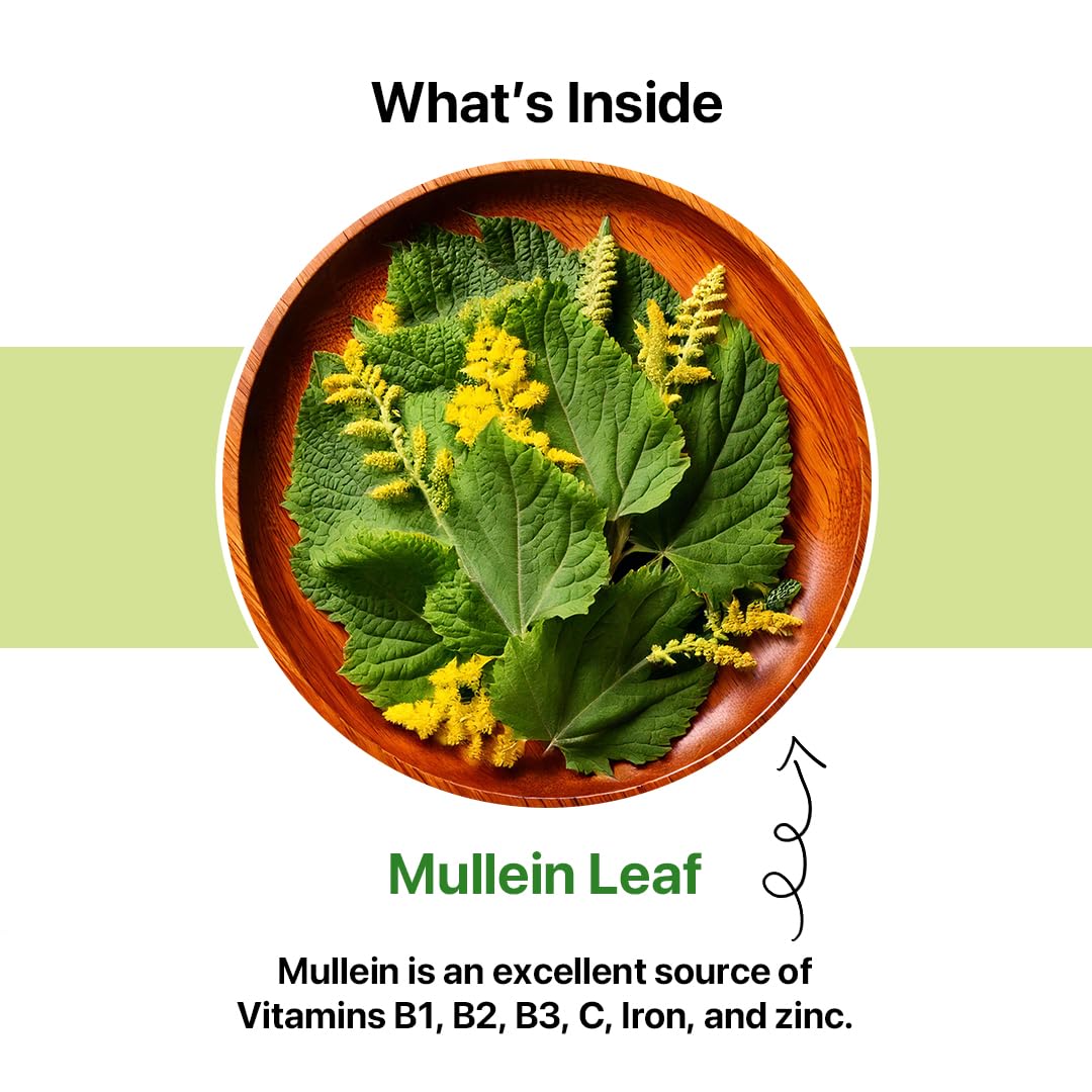 BLUE TEA - Mullein Tea - 50 Count - Pyramid Plant Based Tea Bag | Lungs Detox & for Respiratory Support | Herbal Tea - Caffeine Free - Leaf Based - Non-Bitter | Ziplock Pack