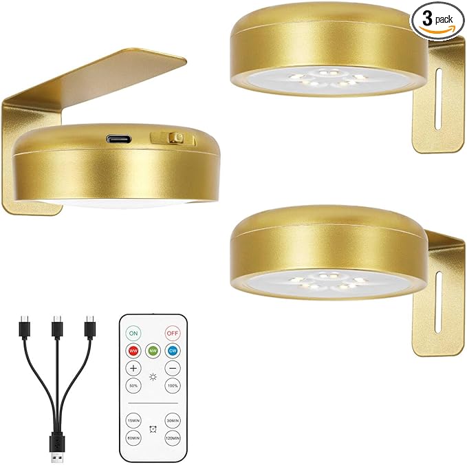 Picture Light for Wall with 2500mAh Rechargeable Battery, Wireless Painting Art by Arixinks