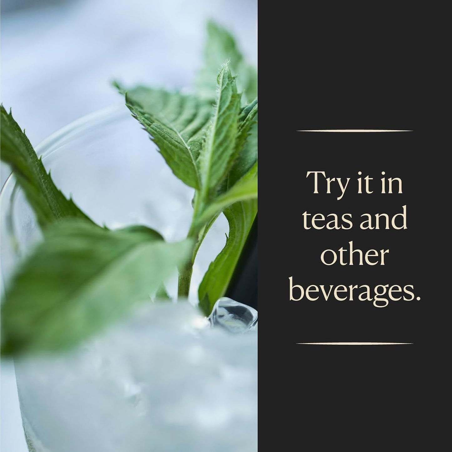 Cook's, Spearmint Extract for Baking, Candies, Chocolates, Tea, Beverages, 8 oz