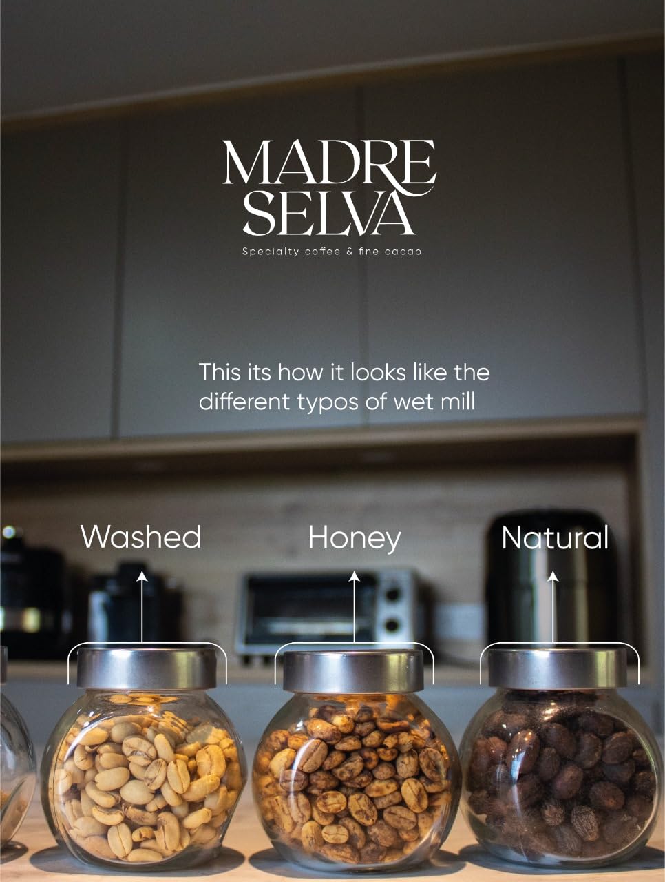 Colombian Specialty Pink Bourbon Coffee Whole Bean Medium Roast Arabica Gourmet Fresh Roasted Single Origin Premium Low Acid Exotic Notes Rich Aroma Smooth Flavor High Altitude Gift Ready 8.8oz 250g