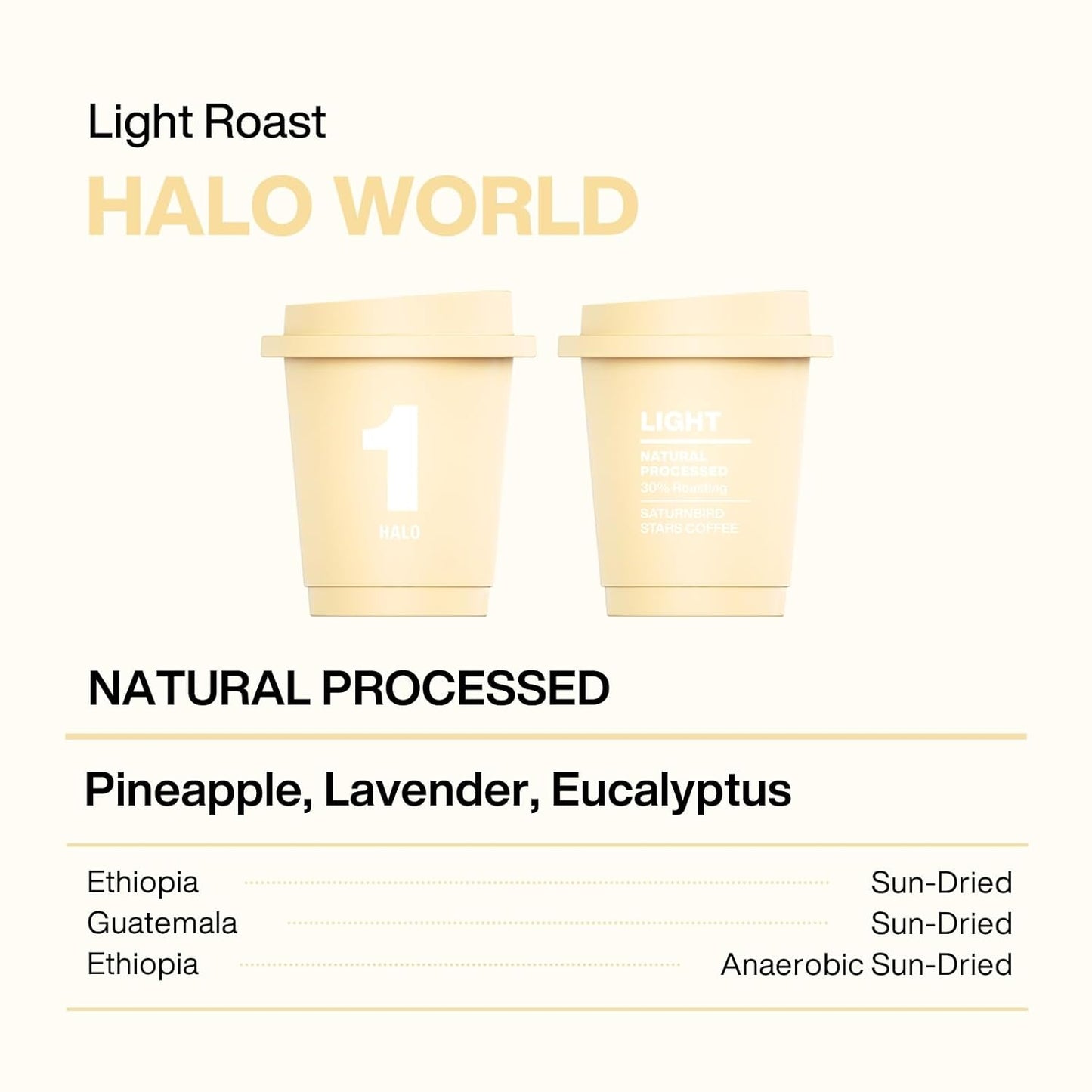 SATURNBIRD Coffee Instant Cold Brew, Light Roast, Bright & Fruity Blend of 100% Specialty Arabica, Enjoy Hot or Cold, Freeze Dried Iced Coffee, 24 Single Servings for Home, Travel, Office (NO.1)