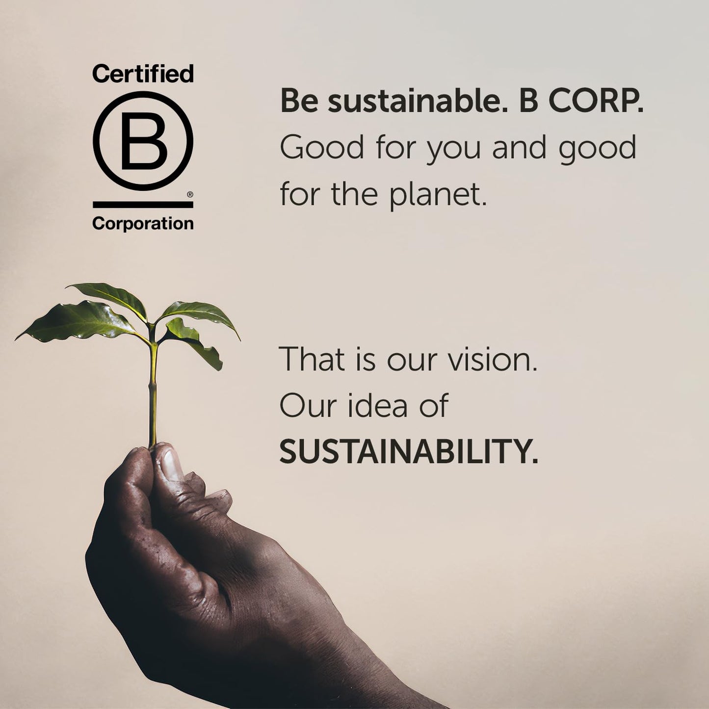 illy Arabica Selections Brasile - Cerrado Mineiro Ground Coffee, Regenerative Agriculture Coffee, 8.8oz (Pack of 1)