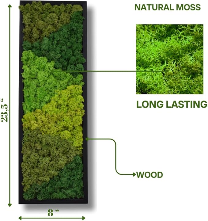 yersiz Large Moss Pattern Wall Art, Real Moss Wall Art - Image 2