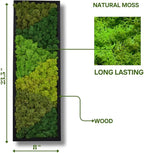 yersiz Large Moss Pattern Wall Art, Real Moss Wall Art - Image 2
