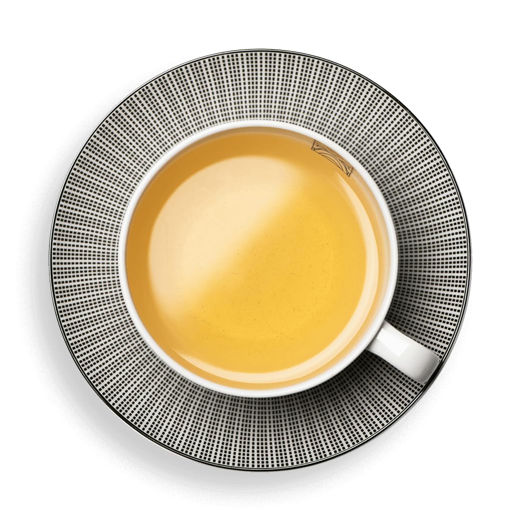 Dammann Freres Satchets, Gunpowder Green Tea Bags, Premium Gourmet French Tea, Individually Wrapped, 24 Count (Single Pack)