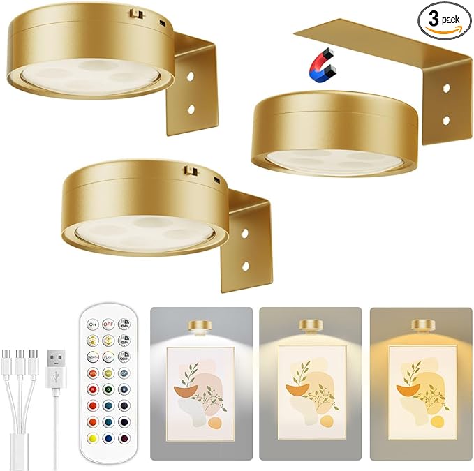 Xuolder Picture Lights for Wall, 2000mAh Rechargeable Battery Poster Lights LED by Xuolder