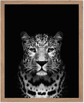Poster Master Vintage Photograph Poster by PosterMaster
