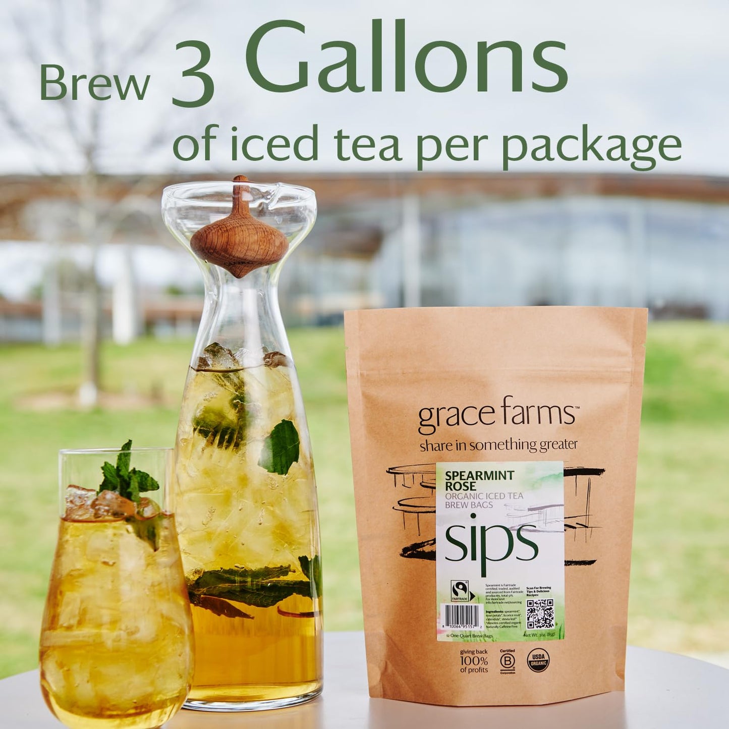 Grace Farms SPEARMINT ROSE ORGANIC ICED TEA (Twelve 1qt. Brew Bags, 3 Gallons) | Refreshing and Spiced, Naturally Sweet Sugar-Free | Easy Cold Brew