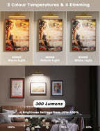 Skairipa Picture Light Battery Operated, Wireless Art Light - Image 2