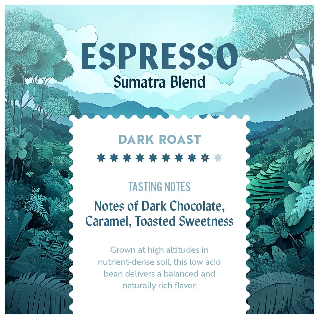 Clean Coffee Co. - Low Acid Espresso Roast, Tested for Molds and Toxins, Sumatra Blend, Notes of Dark Chocolate, Caramel, Toasted Sweetness (Whole Bean, 12 oz Bag)