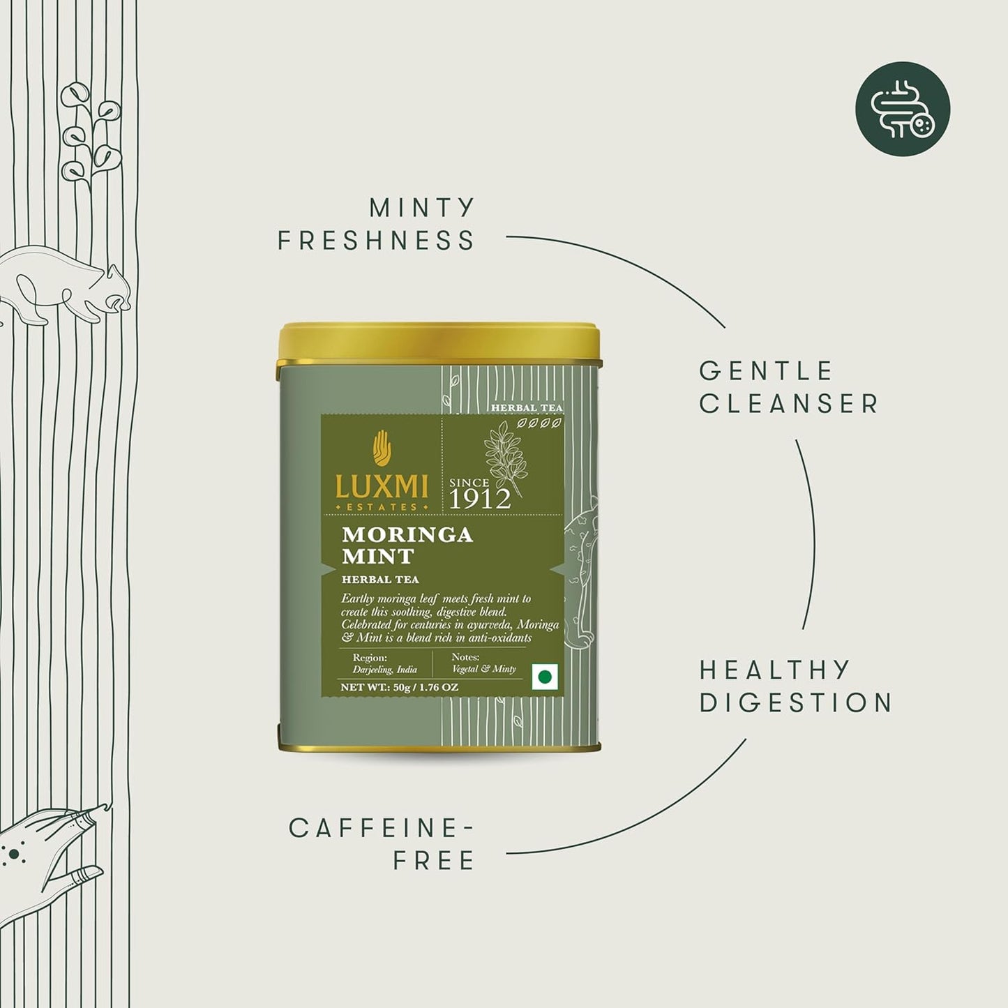 Luxmi Estates - Moringa Mint Tea Loose Leaf - 50g (25 cups) | Organic Moringa and Mint | Great for Digestion and Detox
