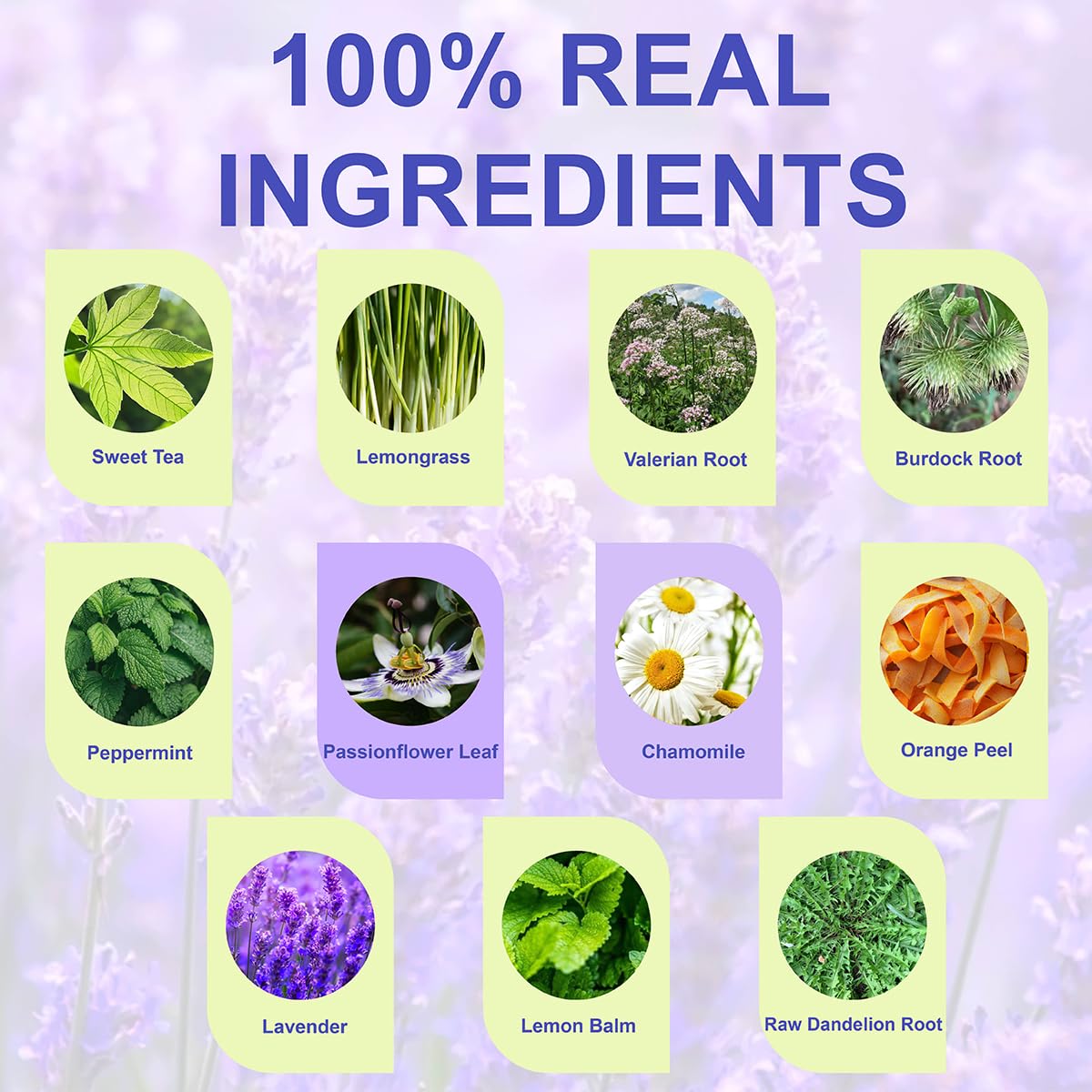 WT WEETEE Chamomile & Passionflower Nighty Herbal Tea Bags 50 Counts, Includes Spearmint, Valerian Root, Lavender, Peppermint & More, Natural Caffeine-free