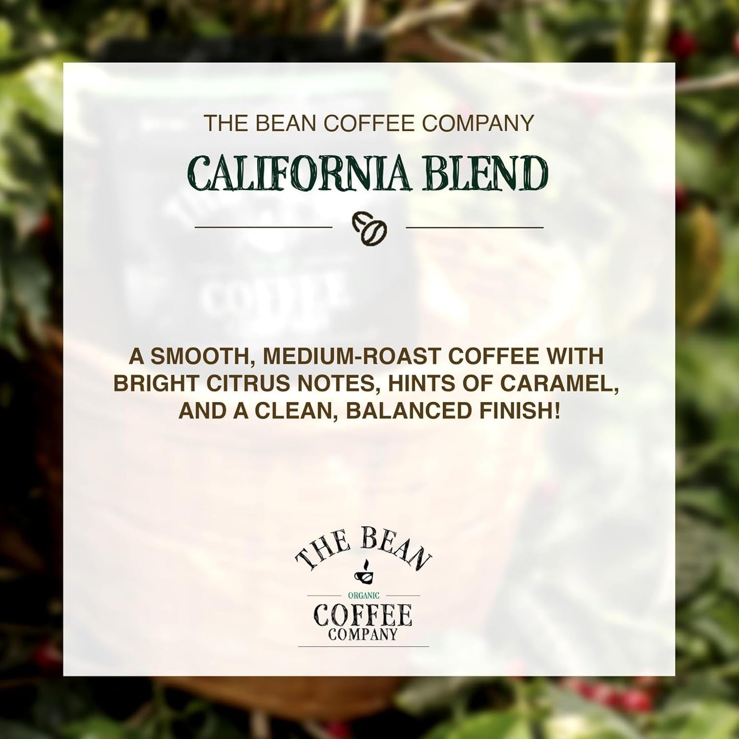 The Bean Organic Coffee Company California Blend, Medium Roast, Whole Bean Coffee, 5-Pound Bag