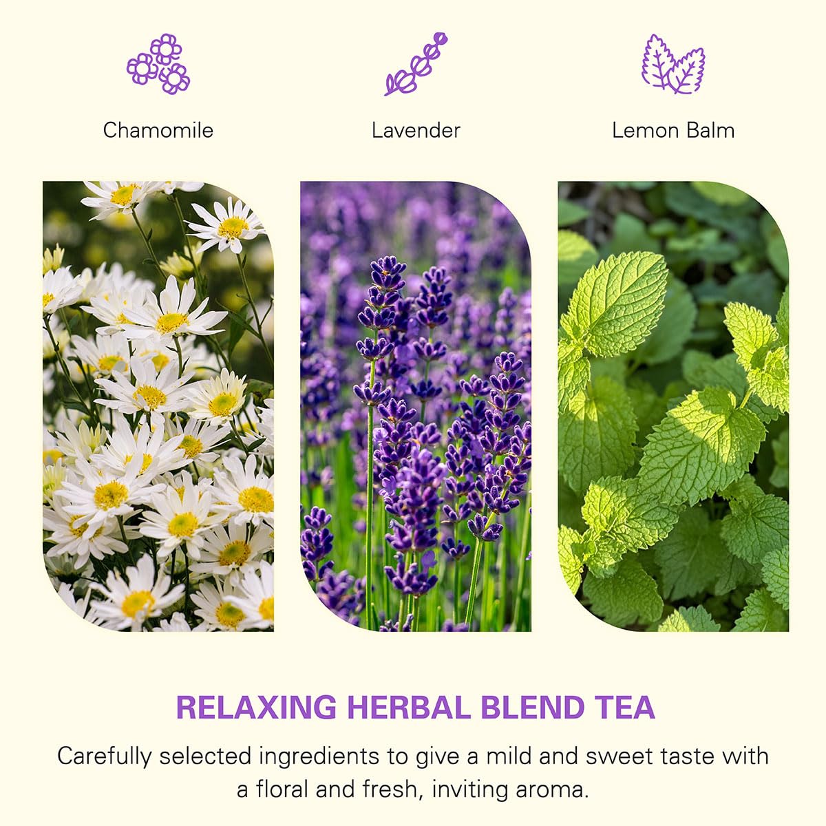 WT WEETEE Chamomile Lavender Tea Bags 100 Count, Nighty & Relax, 100% Pure Chamomile, Lavender Flowers & Lemon Balm Blend, Natural Caffeine-free Herbal Tea Ideal for Bedtime