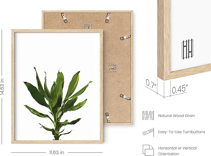 HAUS AND HUES Plant Wall Art - Image 3