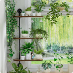 Rotating Window Plant Shelves 3-Tier, Wooden Window Shelf - Image 5