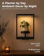 Bamworld Hanging Planters for Indoor Plants Wall Decor Outdoor Living Room - Image 5