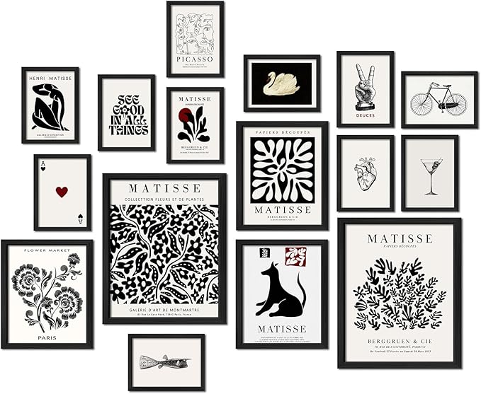 ANERZA 16 PCS Framed Black and White Wall Art Decor, Matisse Abstract Wall by ANERZA