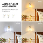 Shenmoyl Vintage Wall Sconces - Image 5