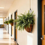 Faux Boston Fern with Hanging Basket – 18in Fake Hanging Fern, Lifelike - Image 5