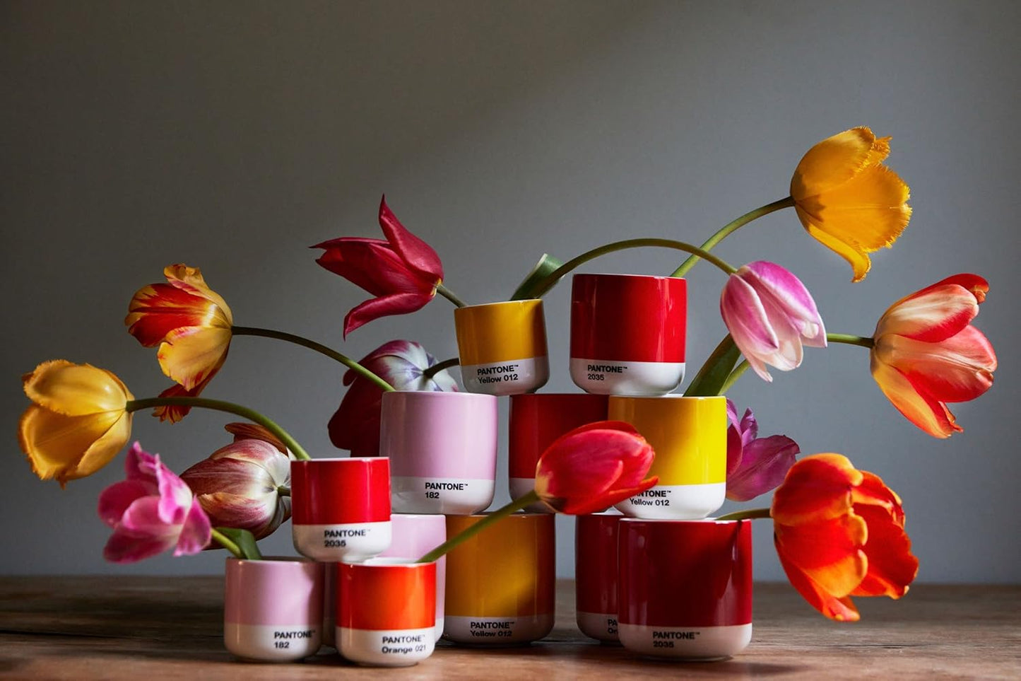 Copenhagen Design Pantone Latte Cup - Double Wall Thermo - Cappuccino Handleless Mug - 7.44oz/220ml, Black 419