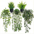 5 Pack Fake Plants for Wall Home Room Office, Artificial Hanging Plants by Unknown