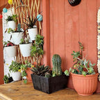 6 Pack White Hanging Planter Pots Self Watering Vertical Garden Wall Mount - Image 3