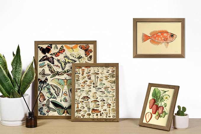 ANERZA 16 PCS Framed Vintage Wall Art Decor, Botanical Cottagecore Wall Prints - Image 5