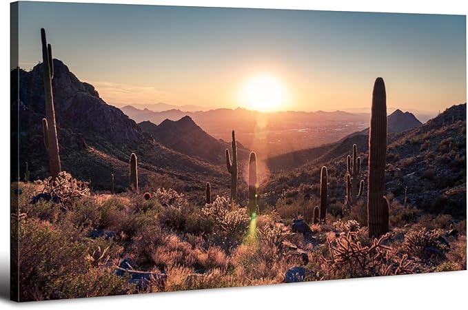 Sunset Sonoran Desert Wall Art Cactus Decor Arizona Mountain Wall Art Pictures by HOME