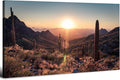 Sunset Sonoran Desert Wall Art Cactus Decor Arizona Mountain Wall Art Pictures by HOME