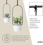 Umbra Triflora Hanging Planter for Window, Indoor Herb Garden - Image 5