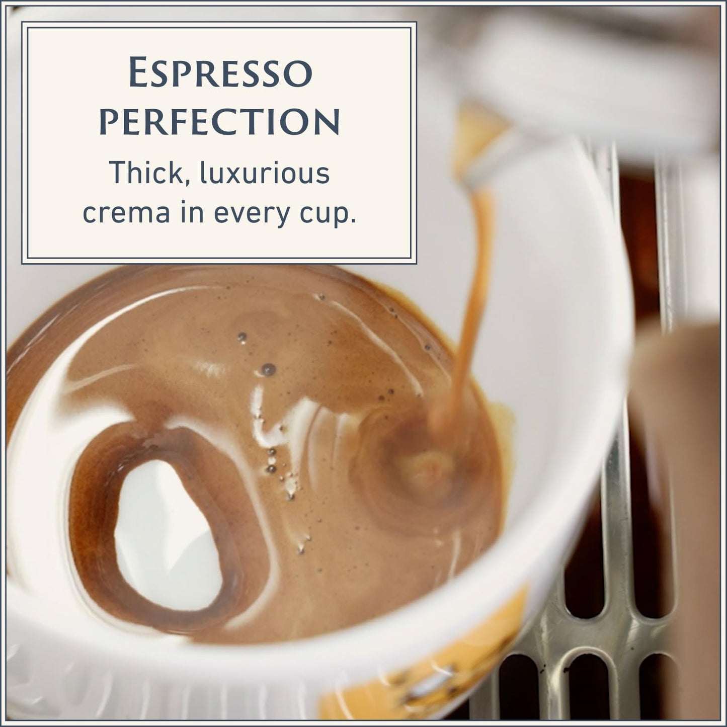 Filicori Zecchini Italian Espresso Beans – Whole Bean Coffee, Bold Dark Roast Arabica & Robusta Blend Roasted in Bologna – Slow Roasted Forte 340g