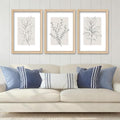 YWJKWLGS Neutral Botanical Prints Framed Wall Art Decor 11x16 Inch Set of 3 by Unknown