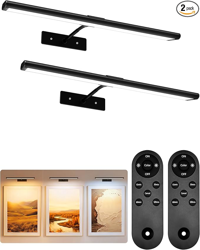 EZVALO Picture Light for Wall, Dimmable Magnetic LED Art Painting Light by EZVALO